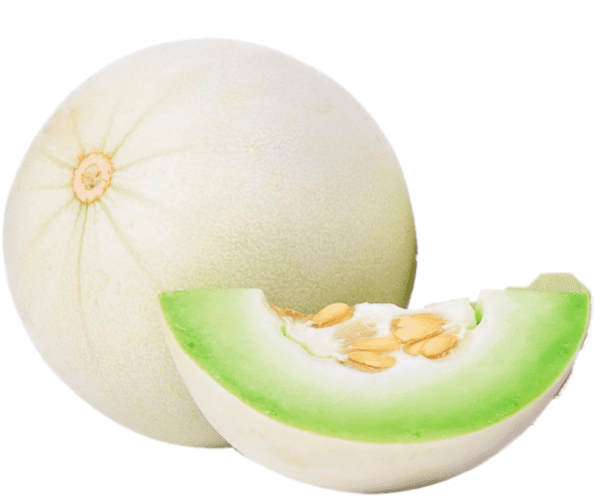 melon blanco