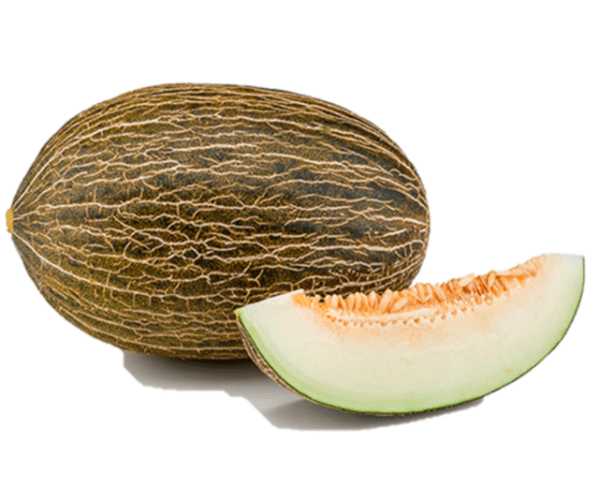 melon negro